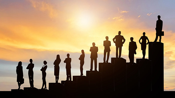 擺閘,三輥閘,速通閘,旋轉(zhuǎn)閘,平移閘,一字閘,人臉識別，