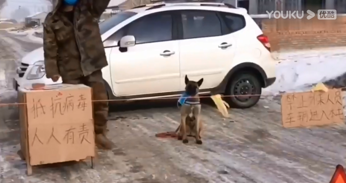 擺閘,三輥閘,速通閘,旋轉(zhuǎn)閘,平移閘,一字閘,人臉識別，