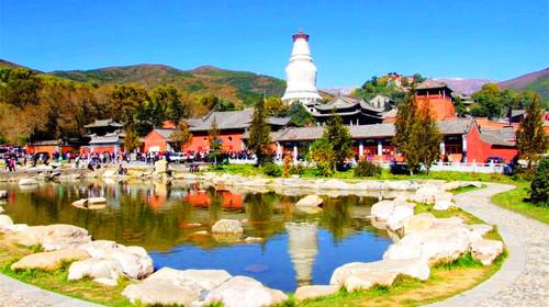 擺閘,三輥閘,速通閘,旋轉(zhuǎn)閘,平移閘,一字閘,人臉識(shí)別，